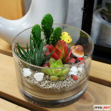 俏皮绿植送清凉，花卉礼品助你留住夏日清新