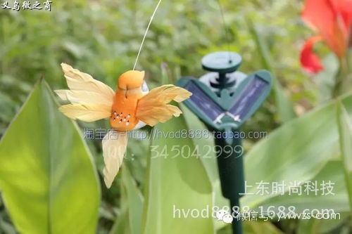 太阳能蝴蝶与蜂鸟 义乌直销点亮户外装饰与创意礼品新潮流